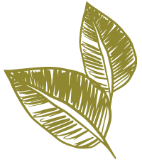 maison ecologique